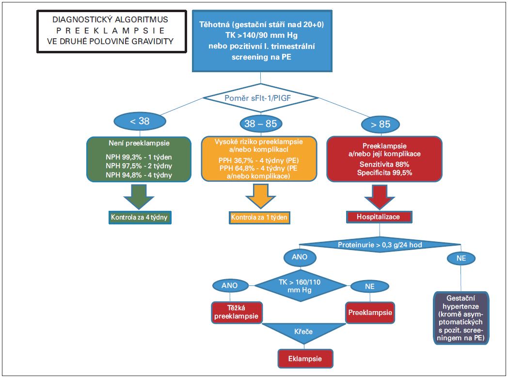 Diagnostický algoritmus preeklampsie ve druhé polovině gravidity