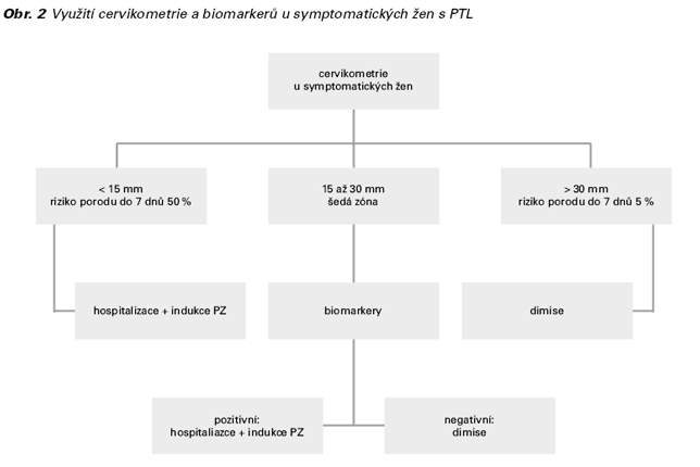 Využití cervikometrie a biomarkerů